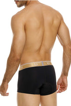 Lingote Trunks