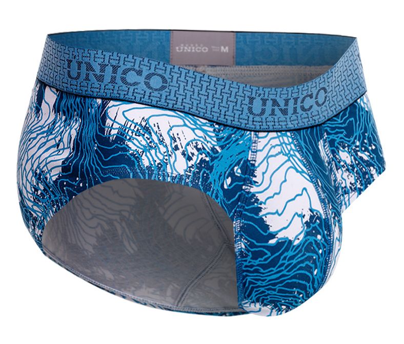Barniz Briefs