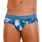 Barniz Briefs