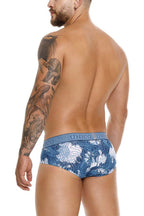 Barniz Briefs