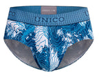 Barniz Briefs