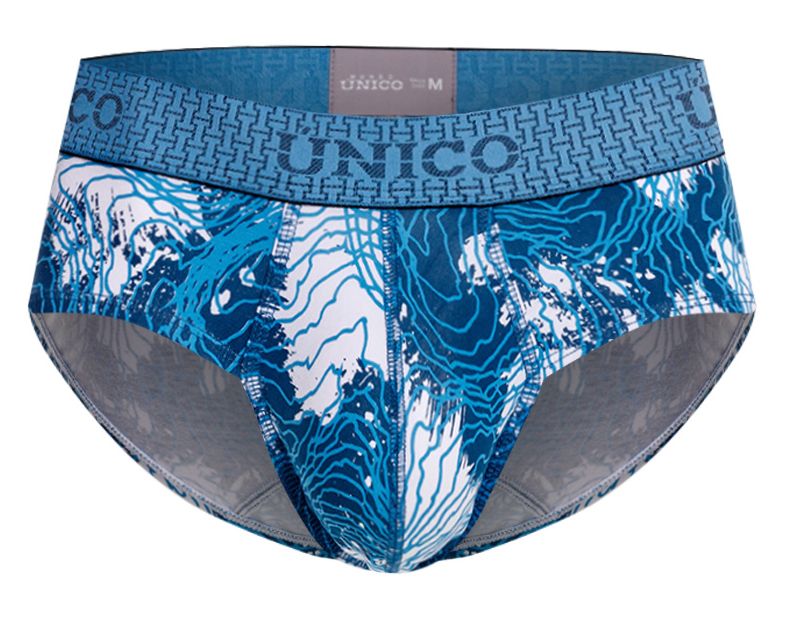 Barniz Briefs