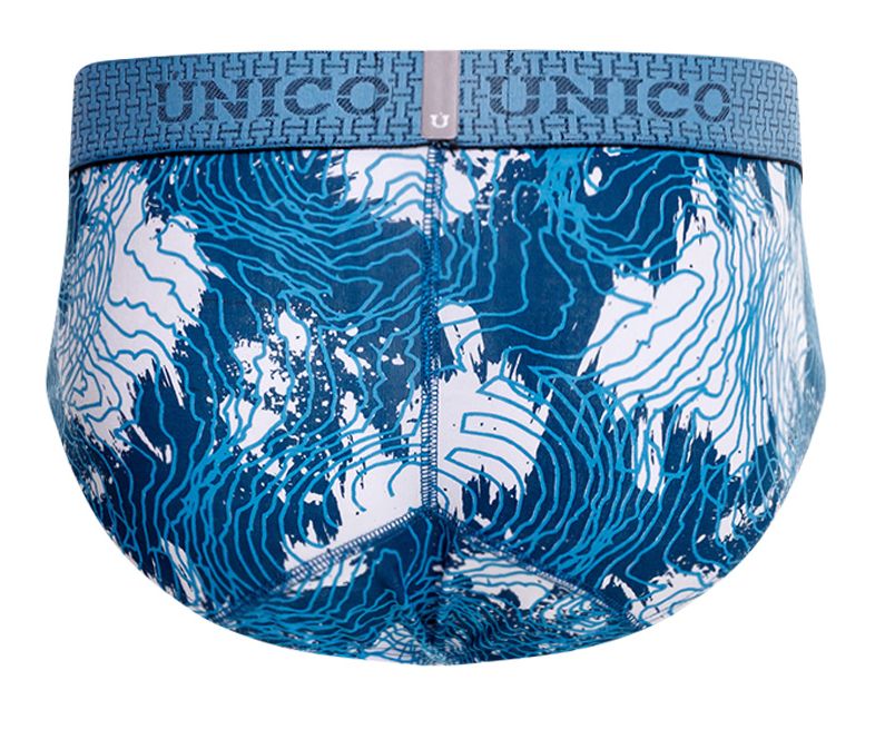Barniz Briefs