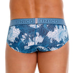 Barniz Briefs