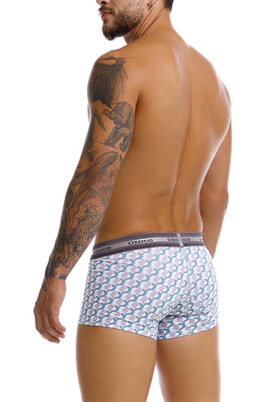 Caterva Trunks