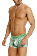 Piramide Trunks