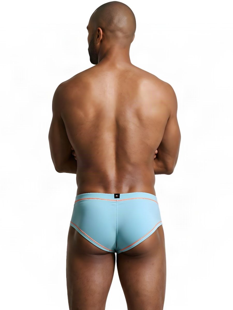 Microfiber Briefs