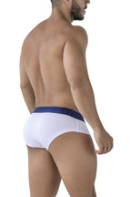 Microfiber Briefs