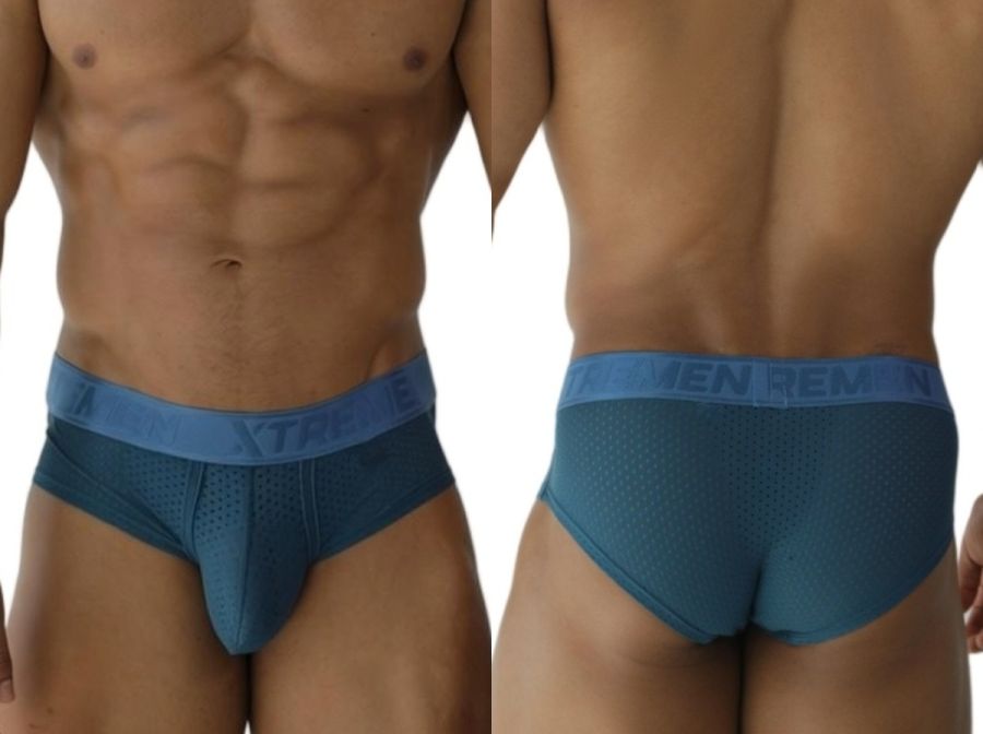 Microfiber Mesh Briefs