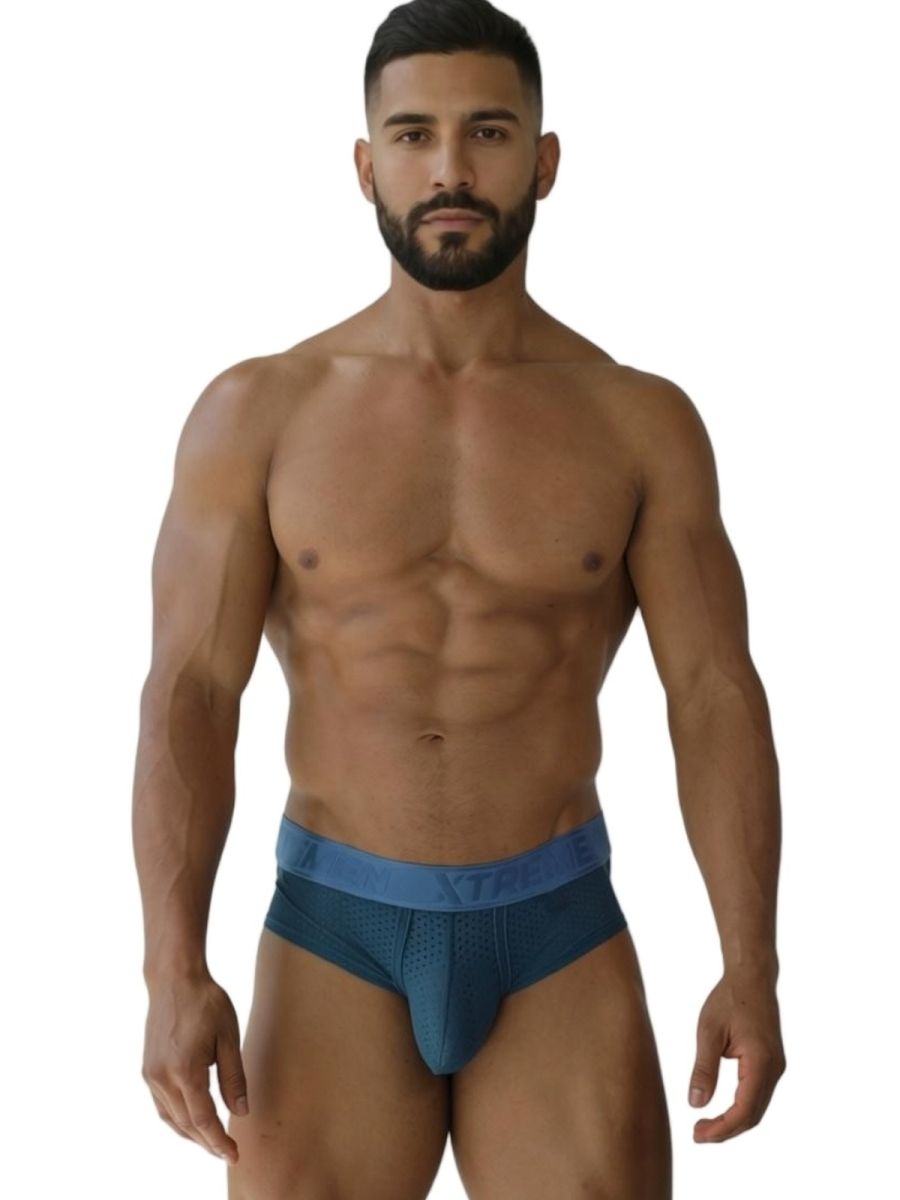 Microfiber Mesh Briefs