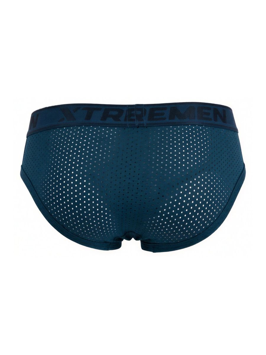 Microfiber Mesh Briefs