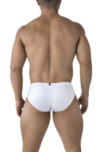 Microfiber Briefs