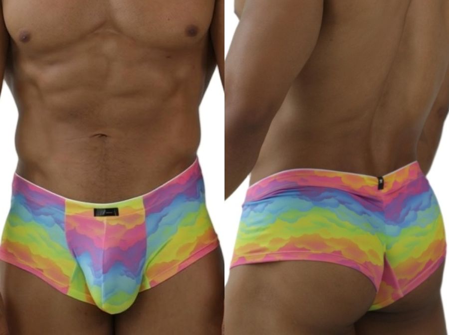 Rainbow Printed Microfiber Briefs
