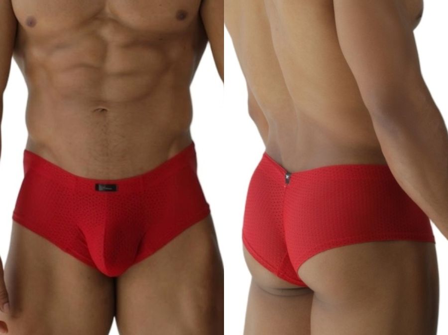 Microfiber Mesh Briefs
