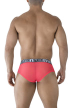 Microfiber Briefs