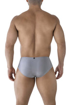 Microfiber Briefs