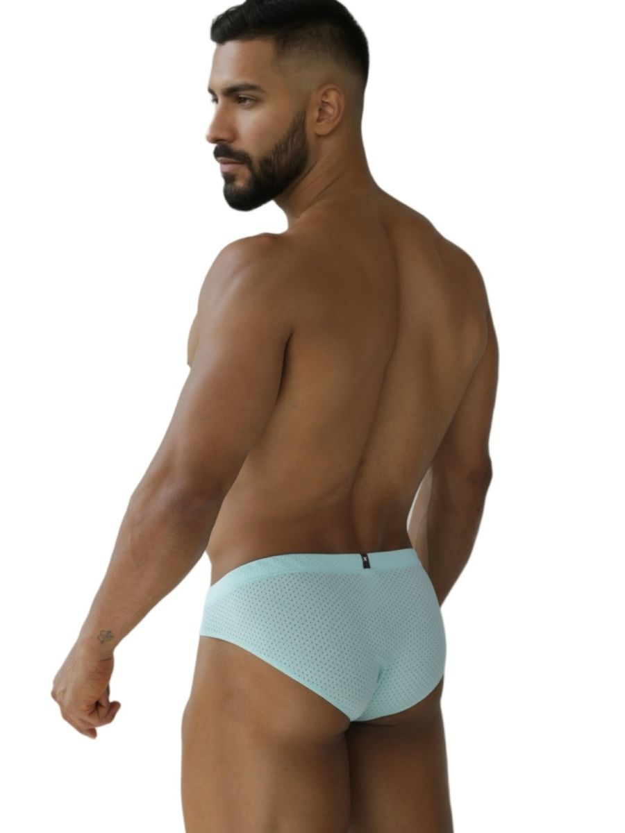 Microfiber Mesh Briefs