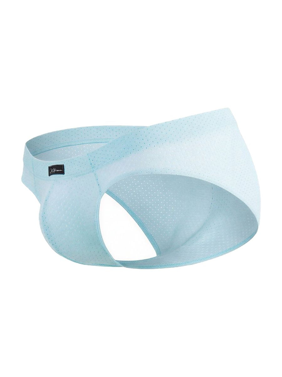 Microfiber Mesh Briefs