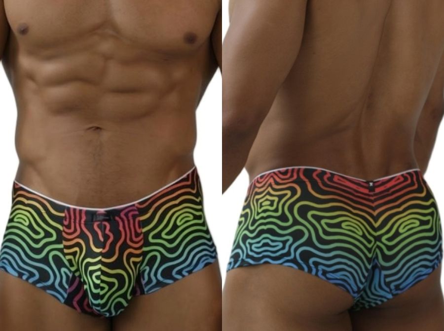 Rainbow Printed Microfiber Briefs