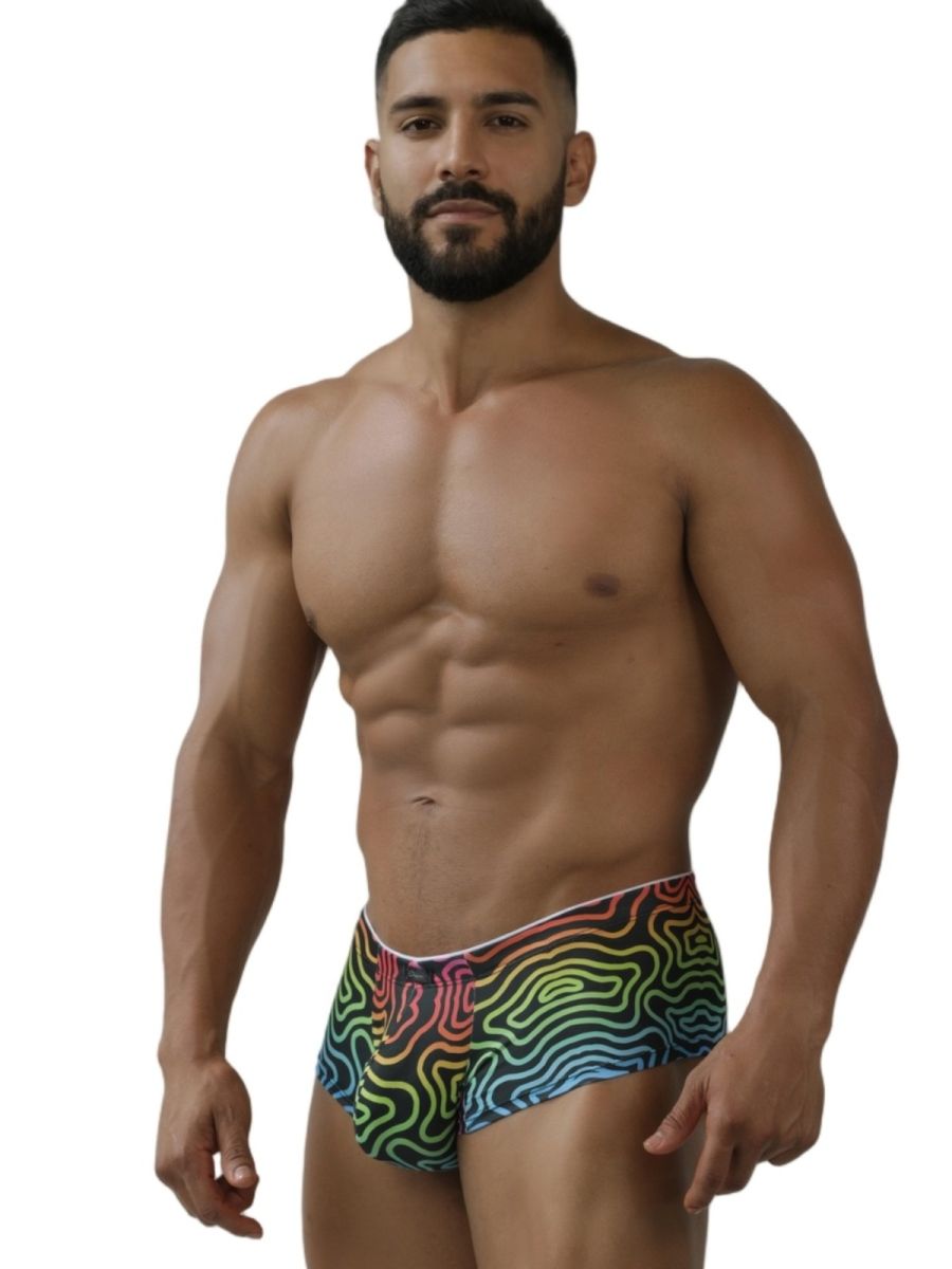Rainbow Printed Microfiber Briefs