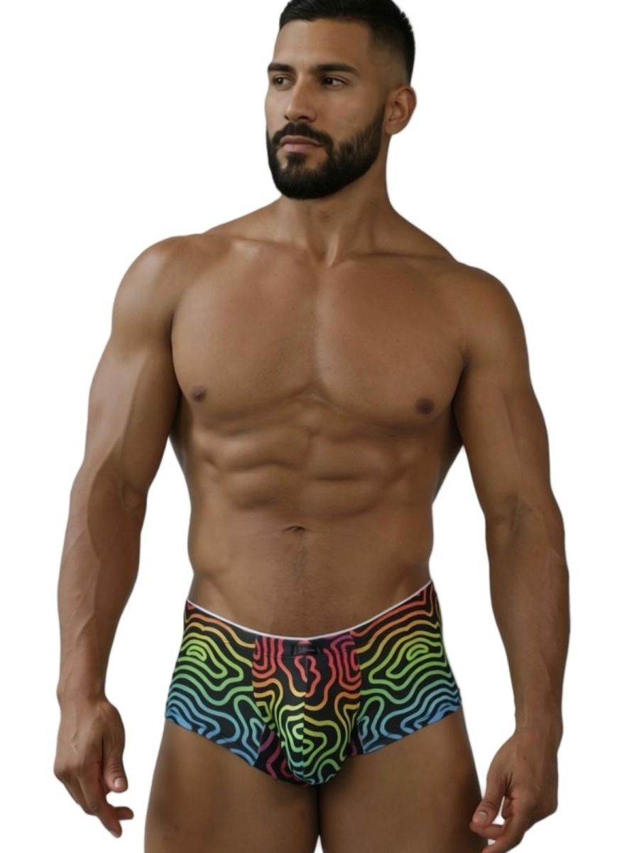 Rainbow Printed Microfiber Briefs