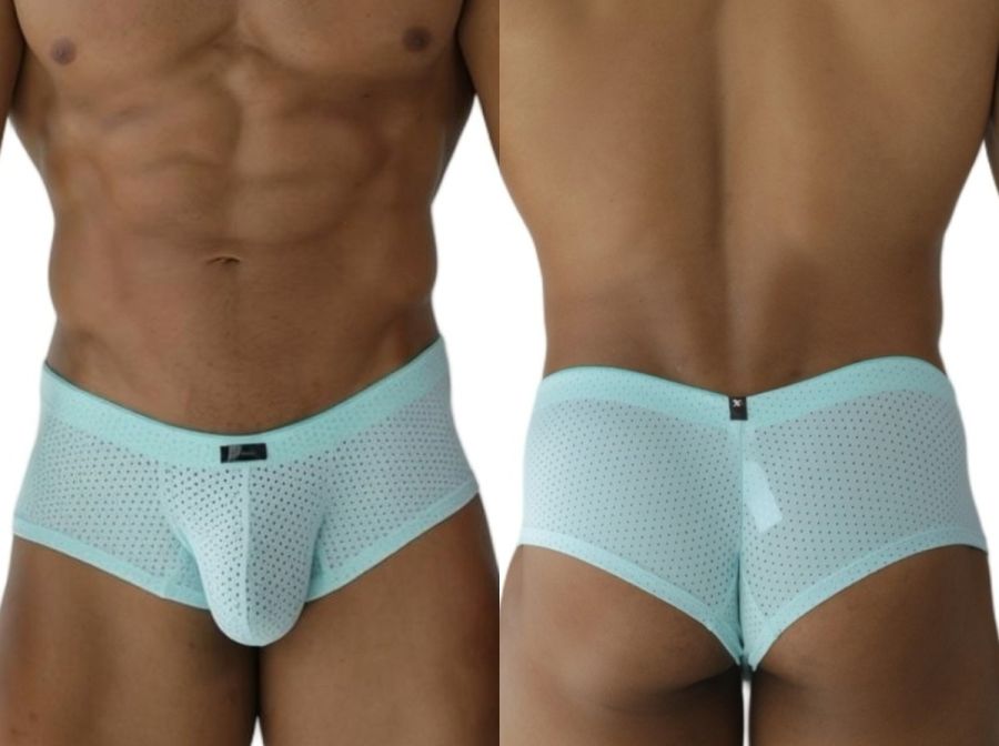 Microfiber Mesh Briefs