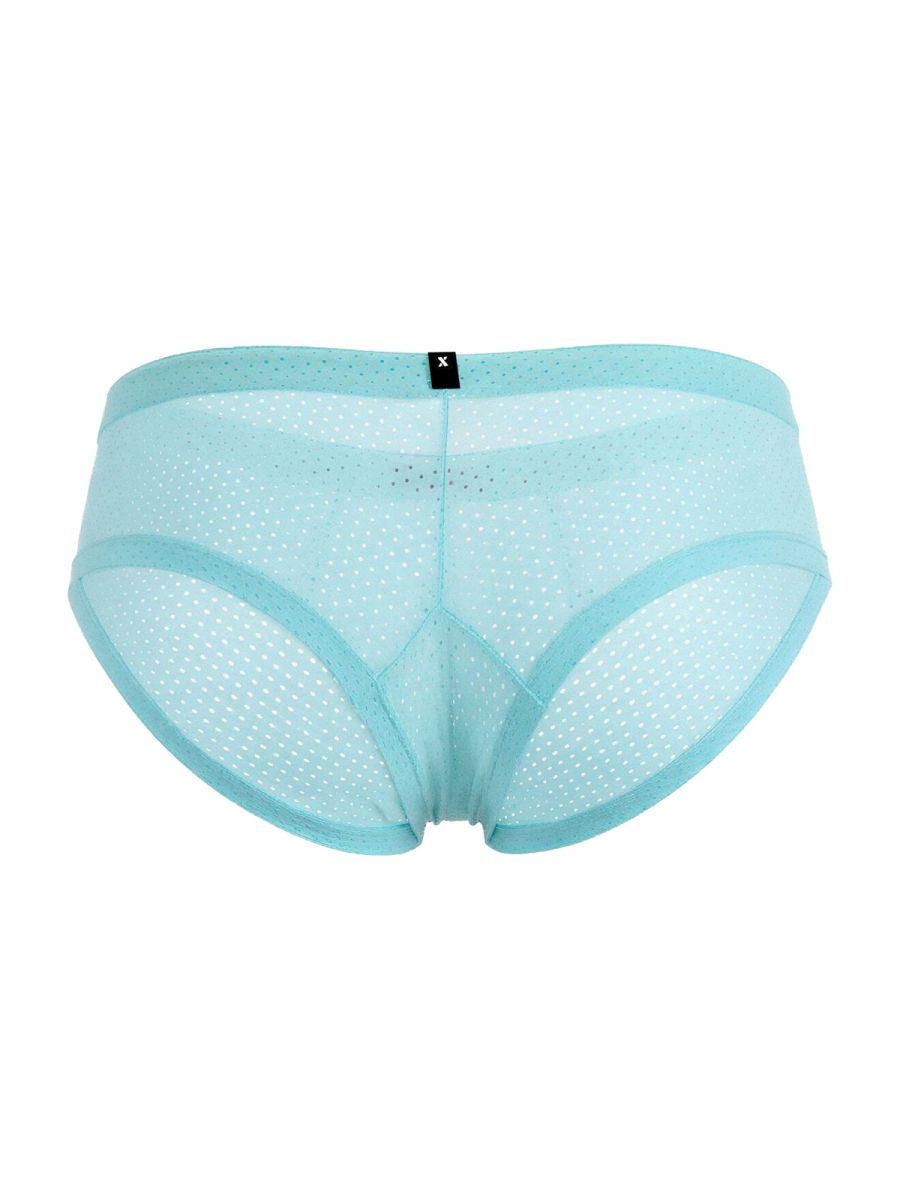 Microfiber Mesh Briefs
