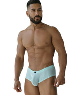 Microfiber Mesh Briefs
