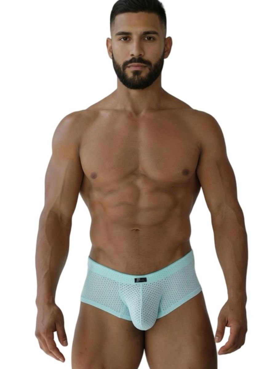 Microfiber Mesh Briefs