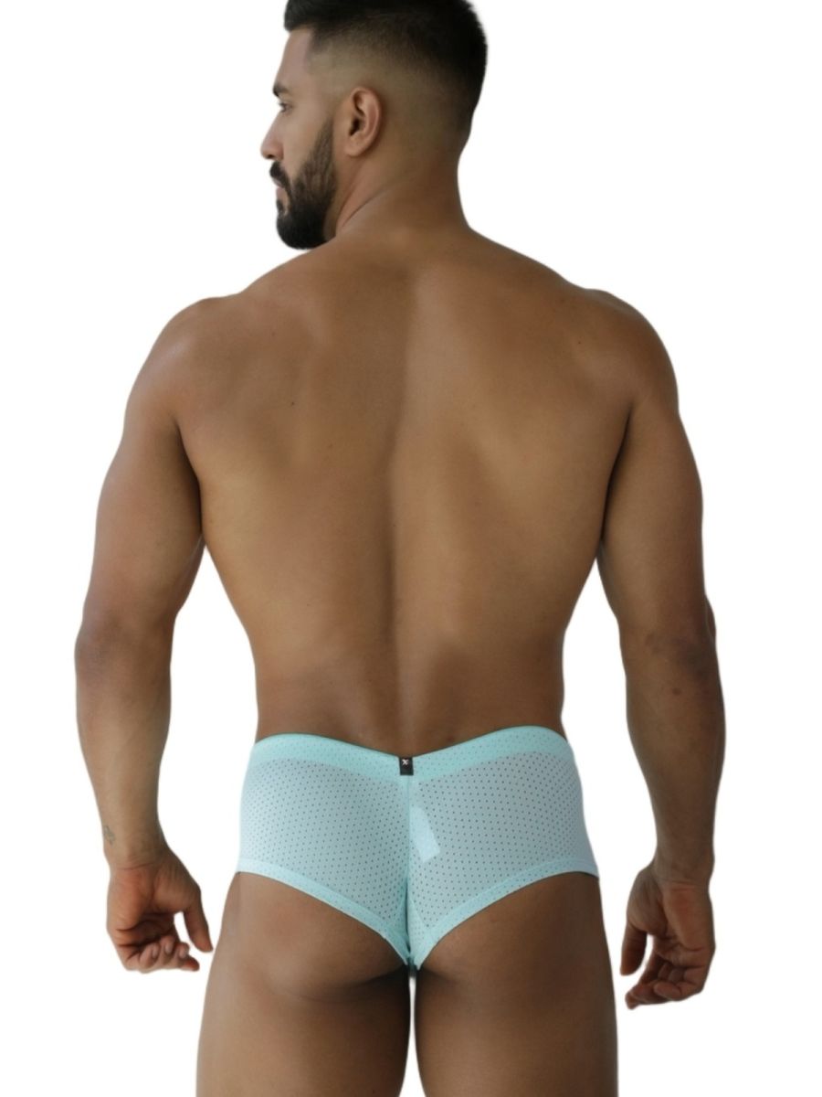 Microfiber Mesh Briefs