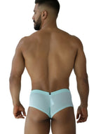 Microfiber Mesh Briefs