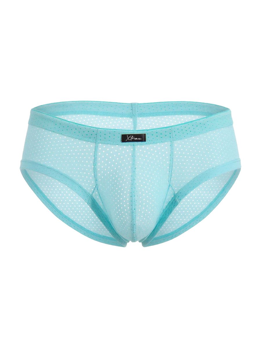 Microfiber Mesh Briefs