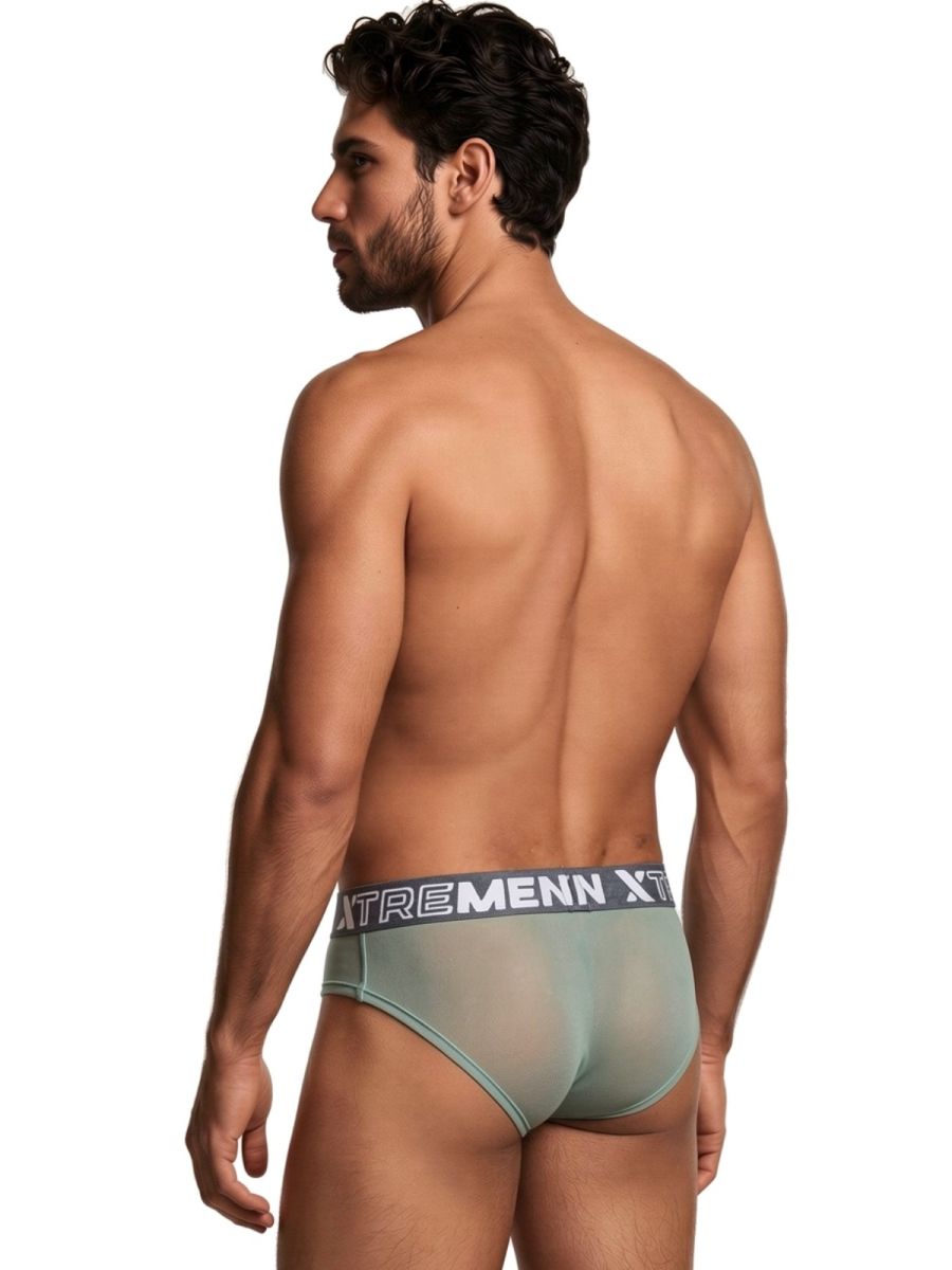 Microfiber Mesh Briefs