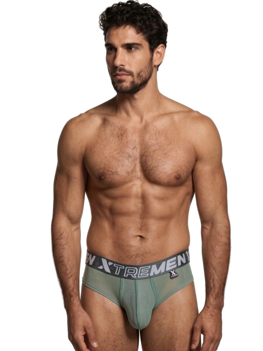 Microfiber Mesh Briefs