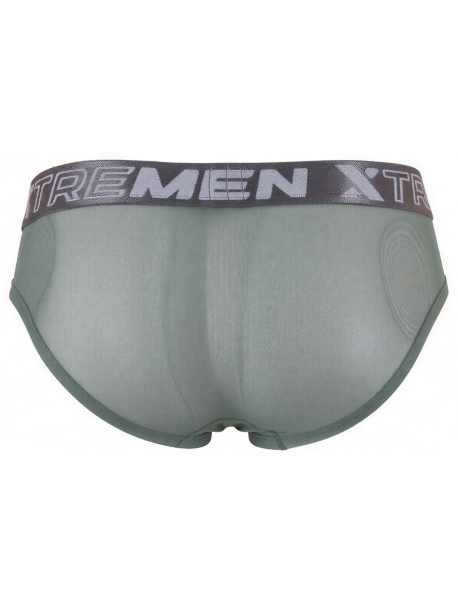Microfiber Mesh Briefs