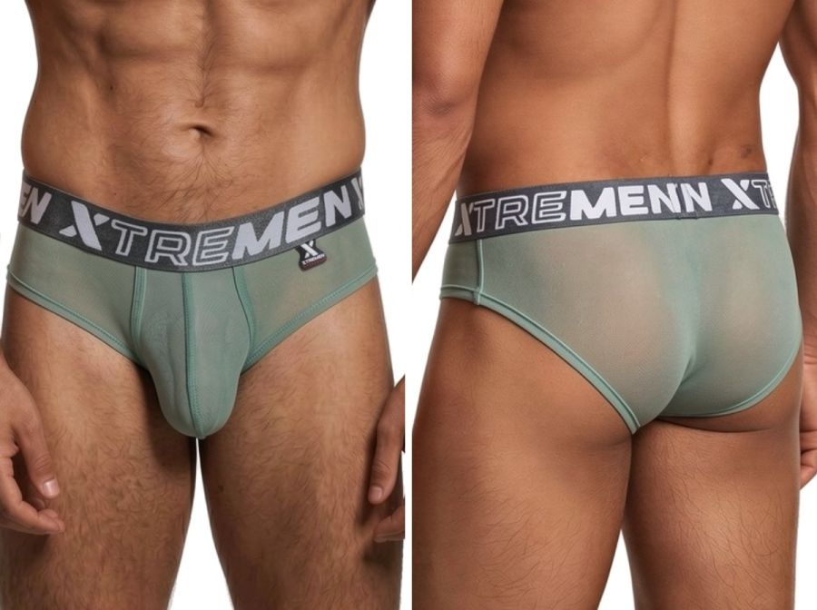 Microfiber Mesh Briefs