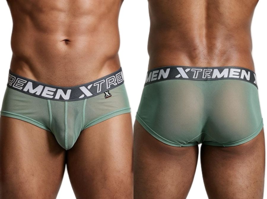 Microfiber Mesh Briefs