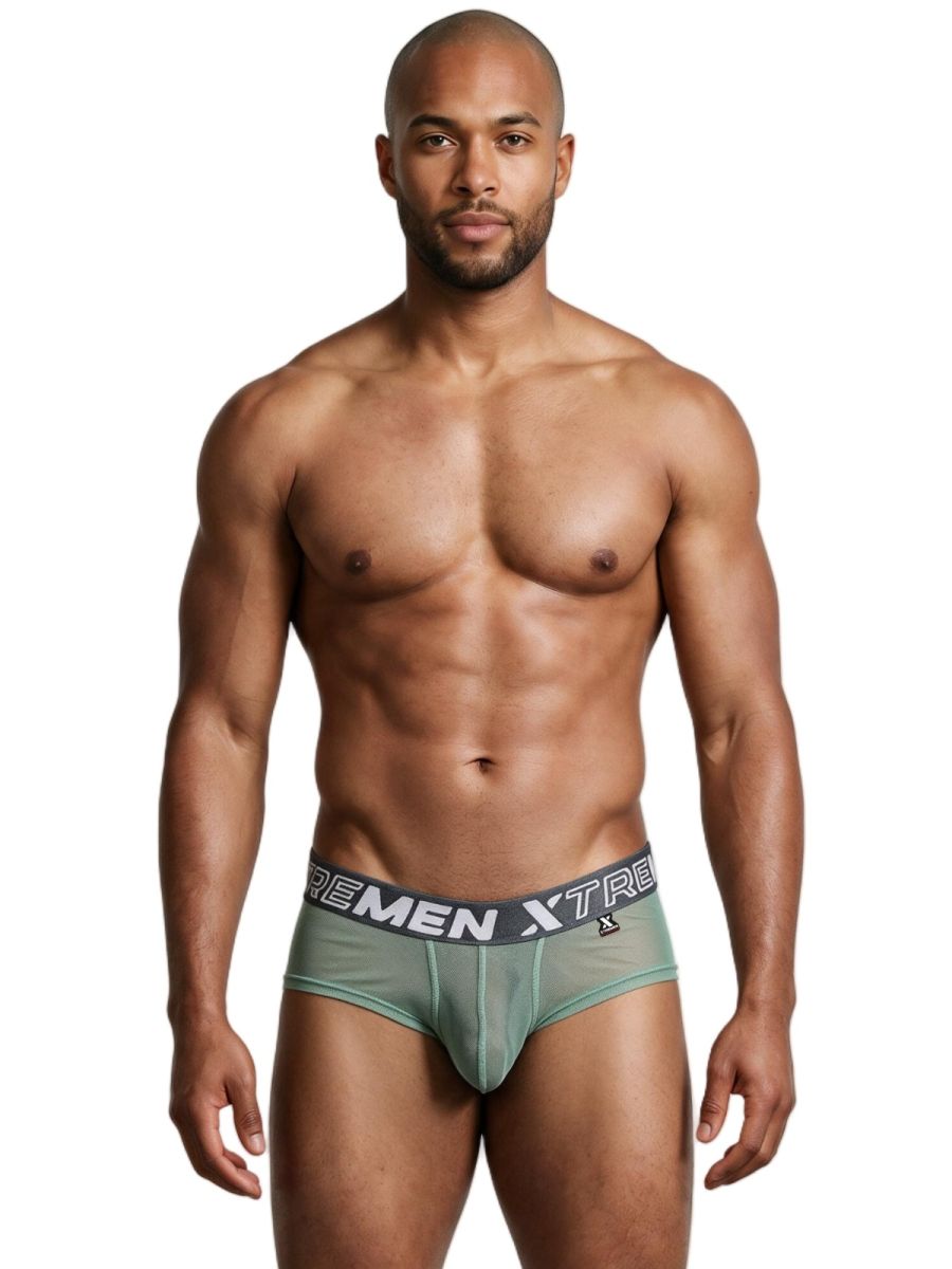 Microfiber Mesh Briefs