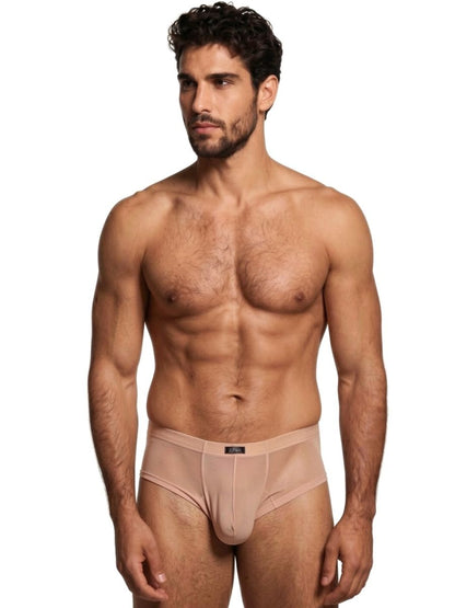Microfiber Mesh Briefs