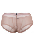 Microfiber Mesh Briefs