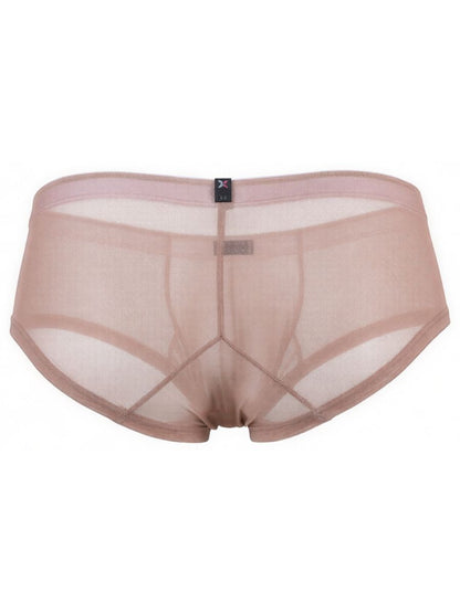 Microfiber Mesh Briefs