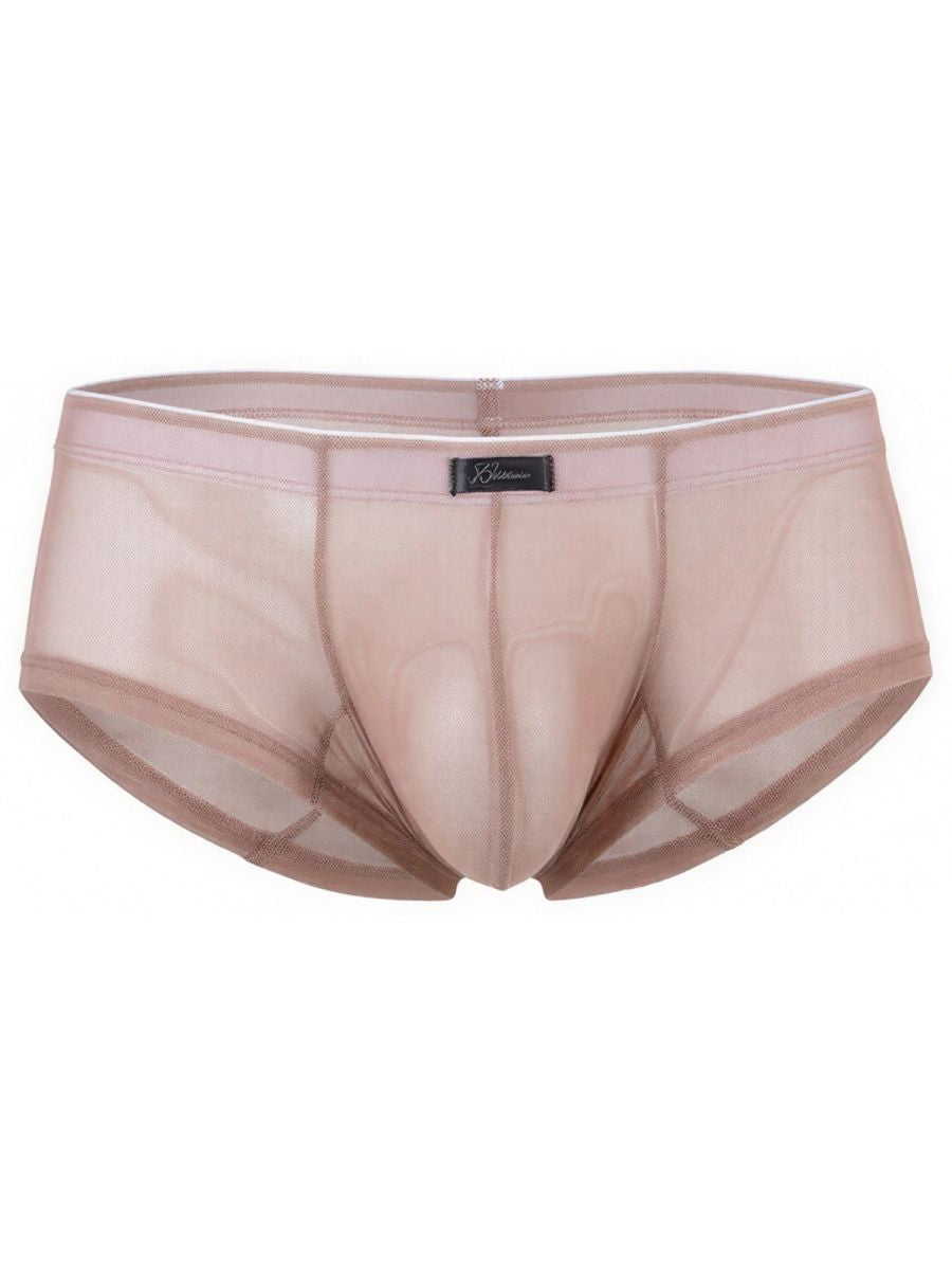 Microfiber Mesh Briefs
