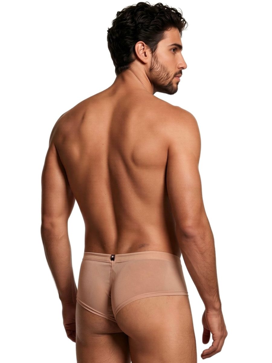 Microfiber Mesh Briefs