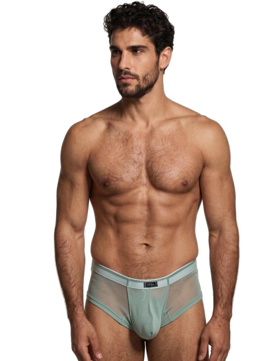 Microfiber Mesh Briefs