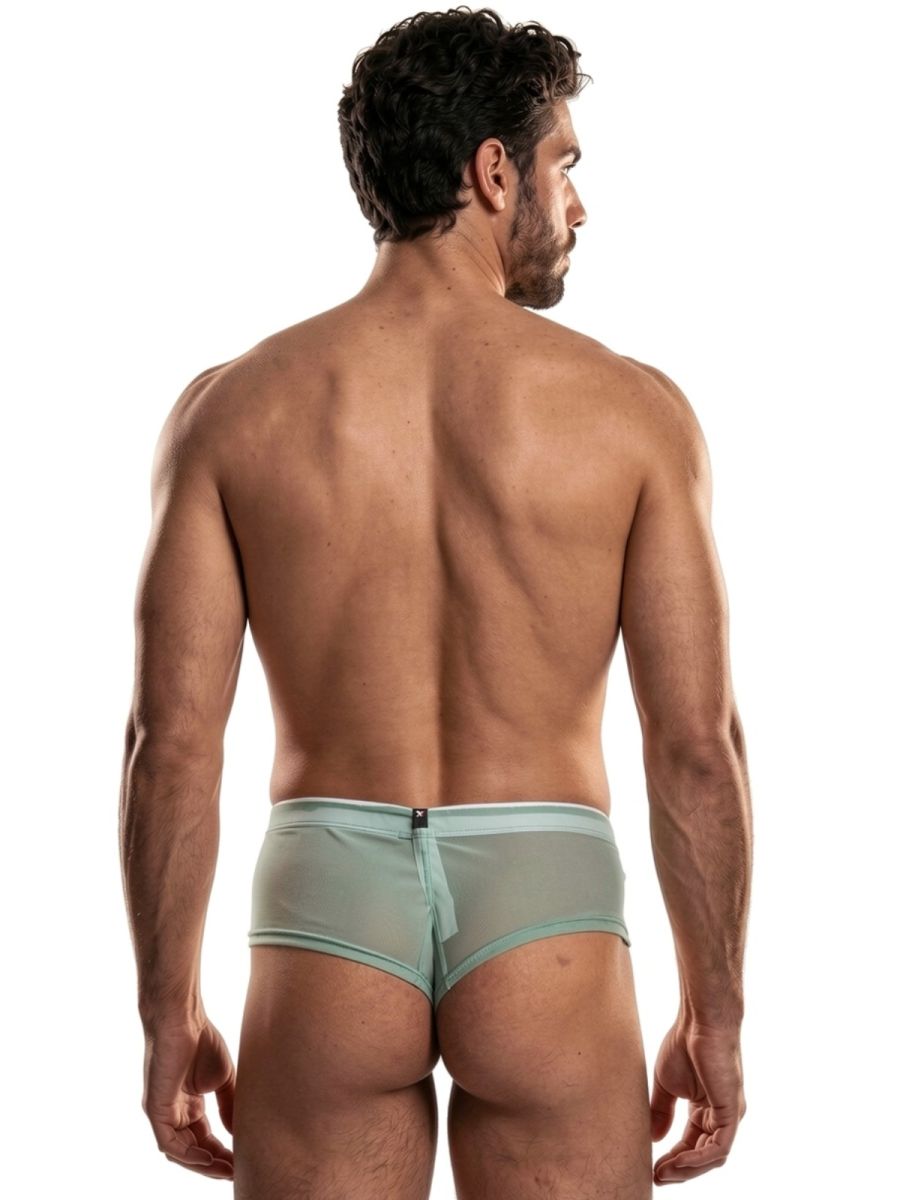 Microfiber Mesh Briefs