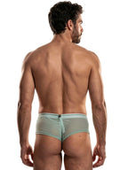 Microfiber Mesh Briefs