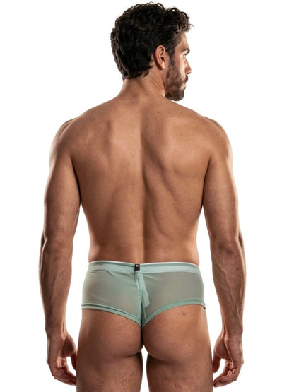 Microfiber Mesh Briefs