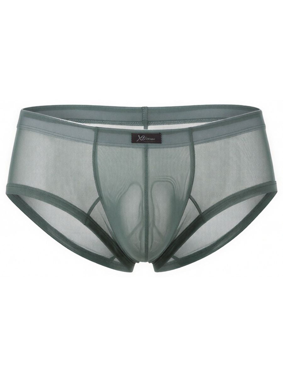 Microfiber Mesh Briefs