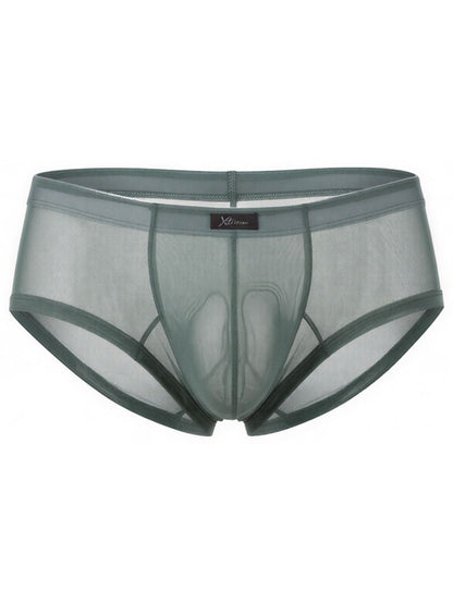 Microfiber Mesh Briefs