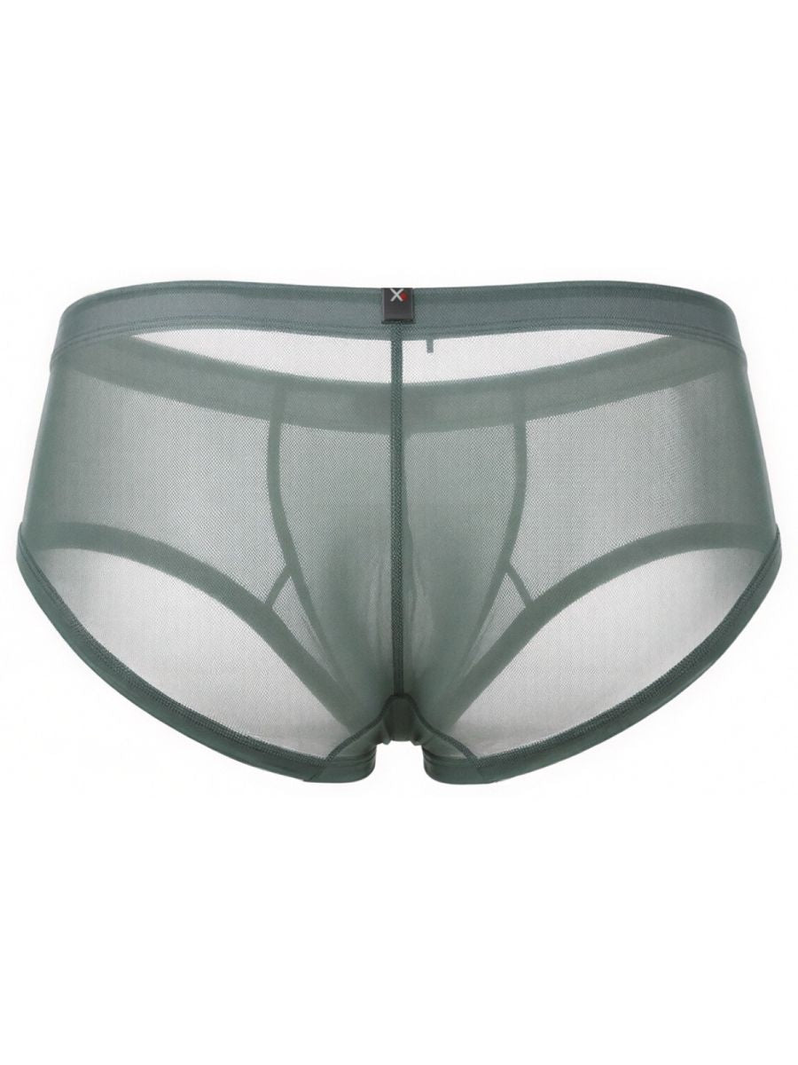 Microfiber Mesh Briefs